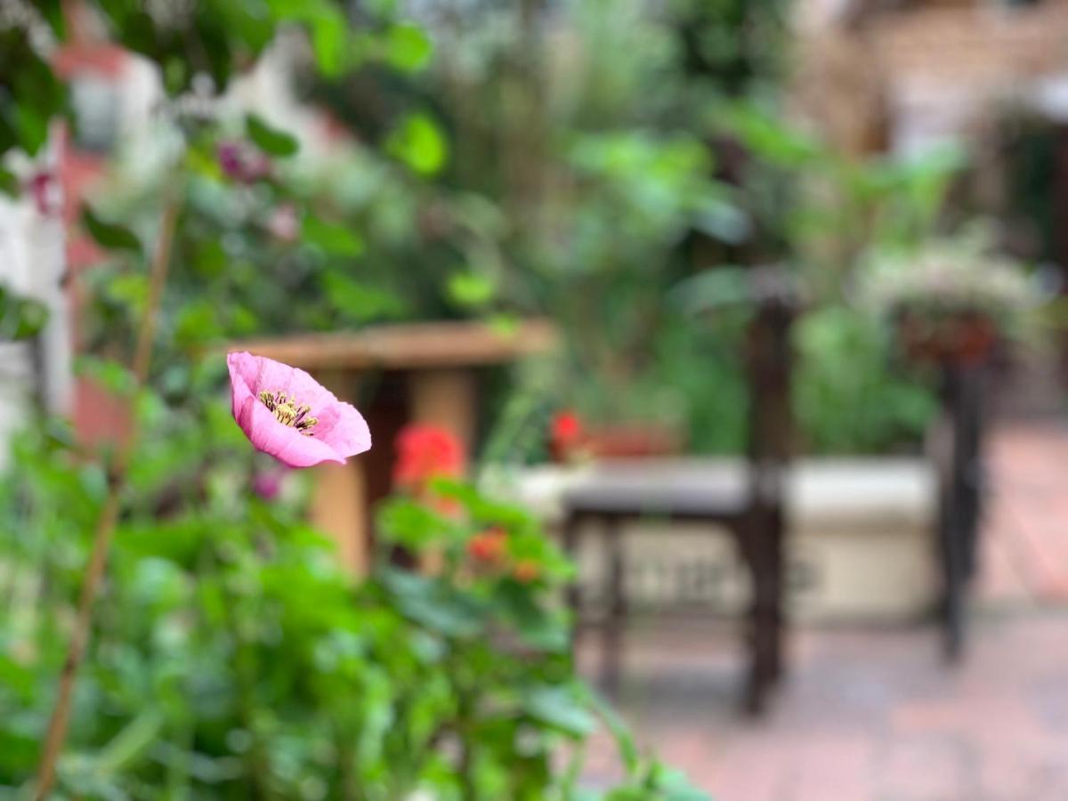 Hostal Yakumama كوينكا المظهر الخارجي الصورة