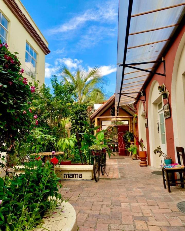Hostal Yakumama كوينكا المظهر الخارجي الصورة